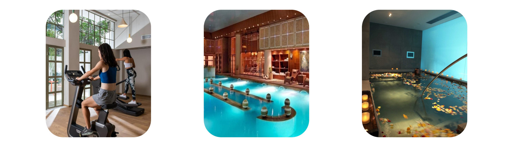 Wellness banner